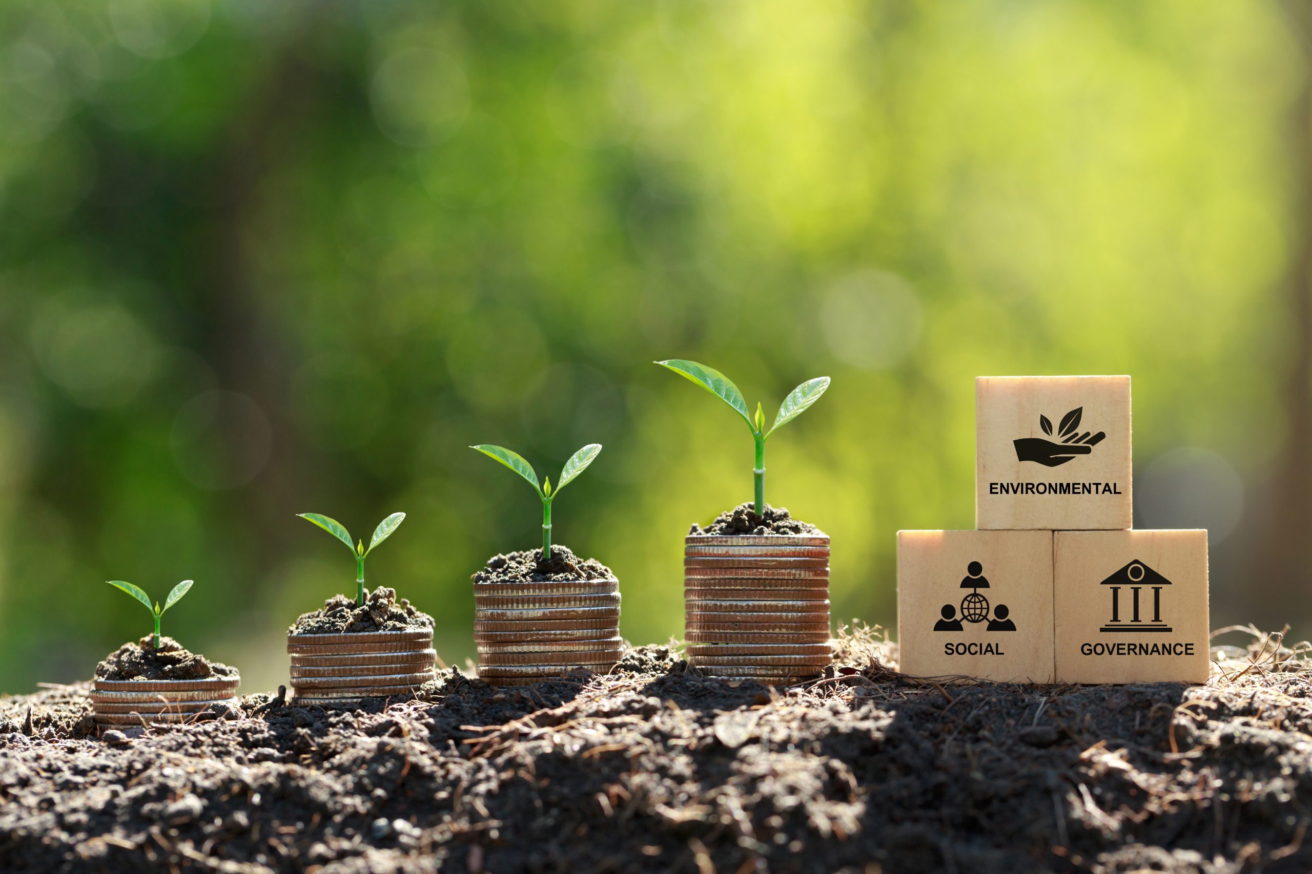 Investing in Agriculture